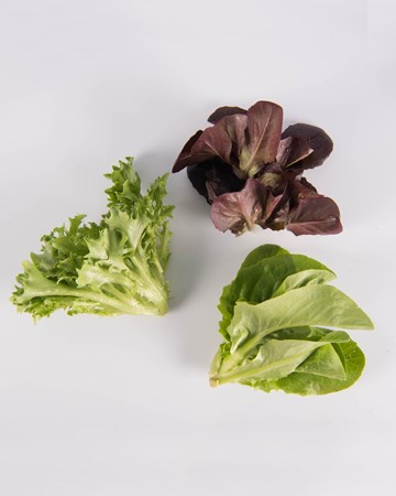 Mixed-Lettuce-Ultra-Isolated