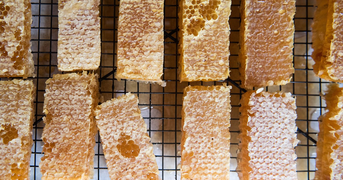 Whole frame shipped as it naturally exists in hives The