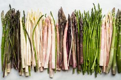 Incredible Diversity of Fresh Asparagus: Colors and Sizes Image