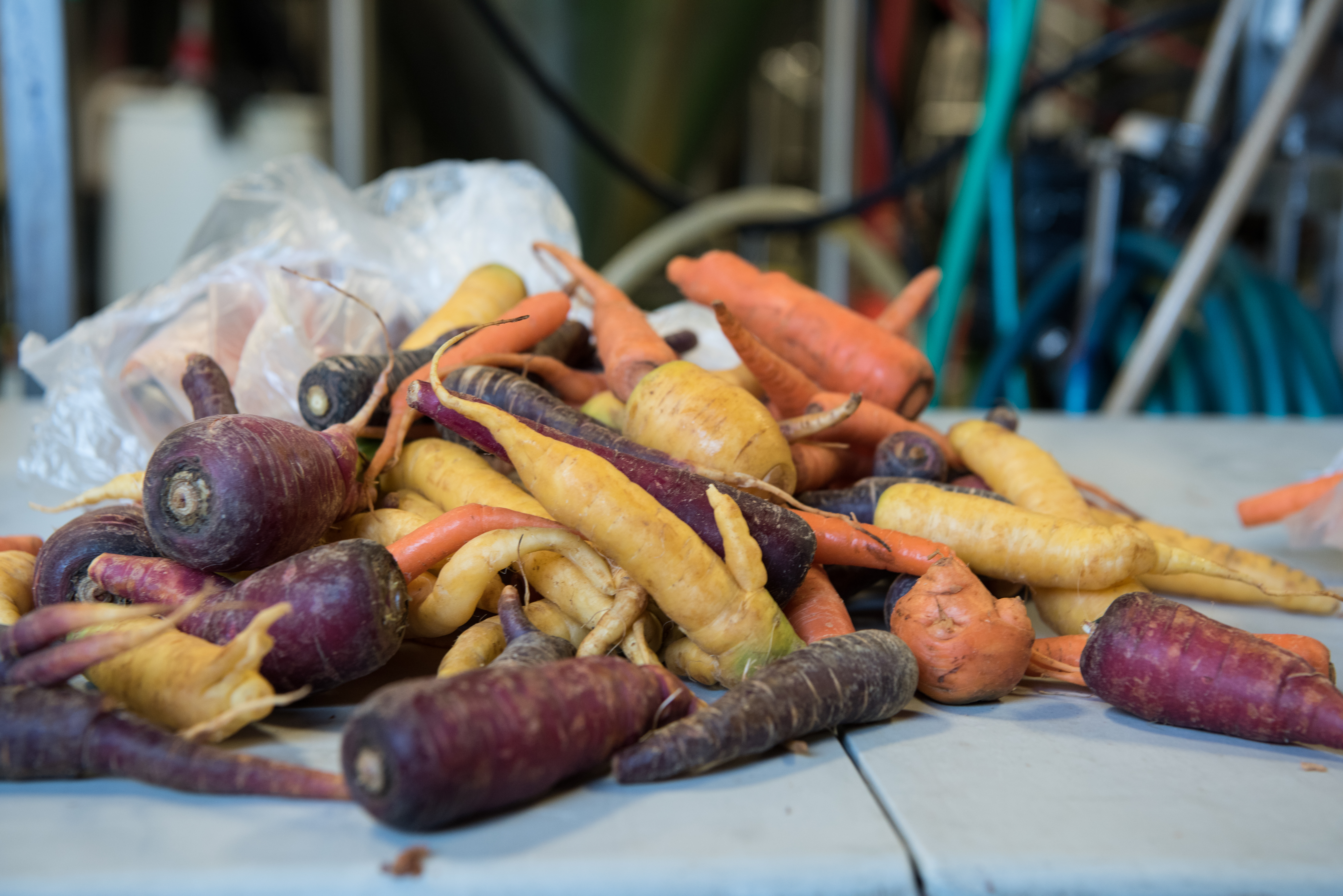 Organizations Reducing Food Waste Organizations Reducing Food Waste