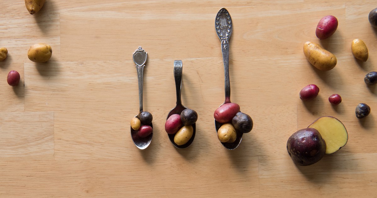 
	Insights into potato sizes, and the beauty of small potatoes | The Chef's Garden
