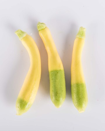 zephyr zucchini yellow green zucchini with almond flavor the