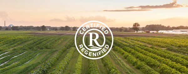 Regenefied-Certified-Bage-on-Image.jpg