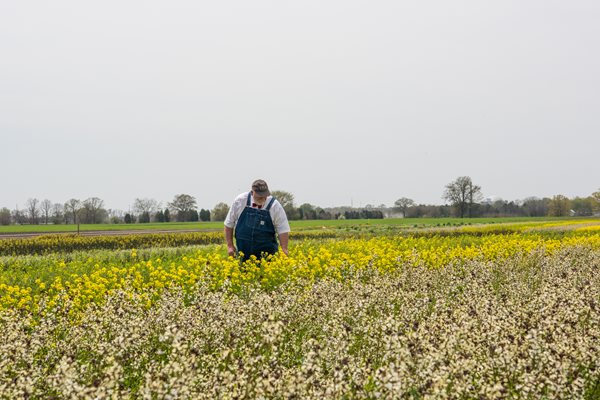 TodayShowFarmPreview-2.jpg