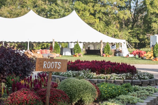 Roots Amazing Service Staff