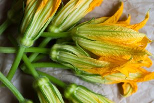 Healthy as a Horse? Thanks to Summer Squash, You Can Bet on It Thumbnail