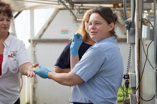 Food Safety Team