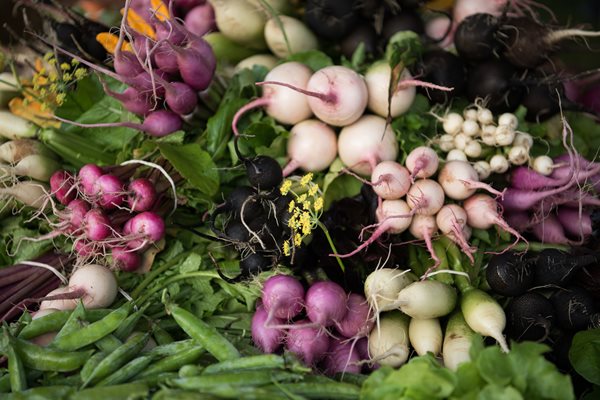 Farm Fresh Vegetables