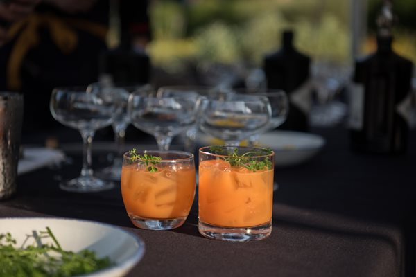 Roots Mocktails