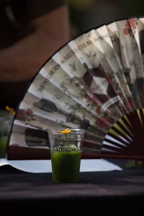 Mixology Hendricks Gin